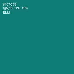 #107C76 - Elm Color Image