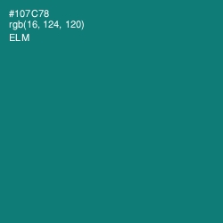 #107C78 - Elm Color Image