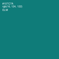 #107C7A - Elm Color Image