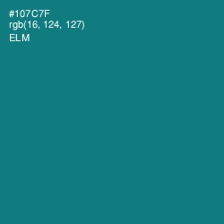 #107C7F - Elm Color Image