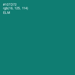 #107D72 - Elm Color Image