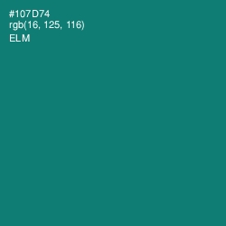 #107D74 - Elm Color Image