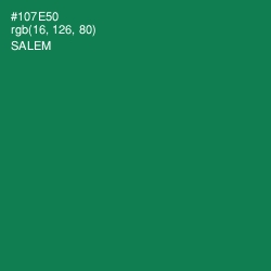 #107E50 - Salem Color Image