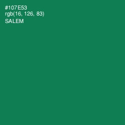 #107E53 - Salem Color Image