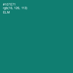 #107E71 - Elm Color Image