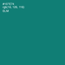 #107E74 - Elm Color Image