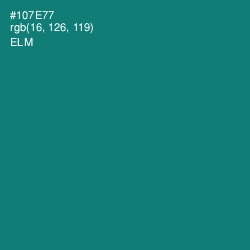 #107E77 - Elm Color Image