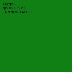 #107F14 - Japanese Laurel Color Image