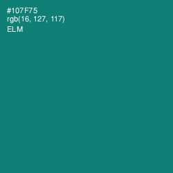 #107F75 - Elm Color Image