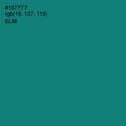 #107F77 - Elm Color Image