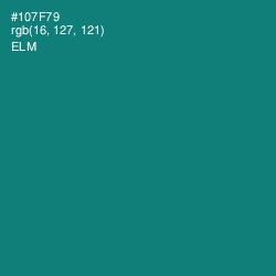 #107F79 - Elm Color Image