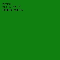 #108011 - Forest Green Color Image