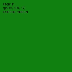 #108111 - Forest Green Color Image