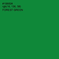 #10883A - Forest Green Color Image