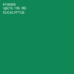 #108856 - Eucalyptus Color Image