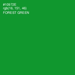 #10972E - Forest Green Color Image