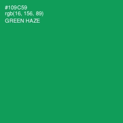 #109C59 - Green Haze Color Image