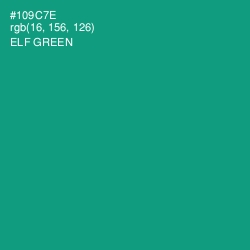 #109C7E - Elf Green Color Image