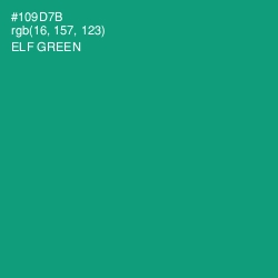 #109D7B - Elf Green Color Image