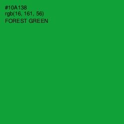 #10A138 - Forest Green Color Image