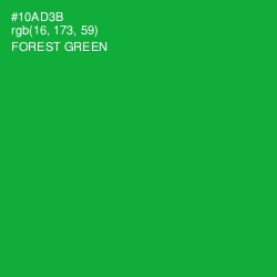 #10AD3B - Forest Green Color Image