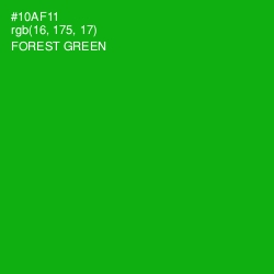 #10AF11 - Forest Green Color Image