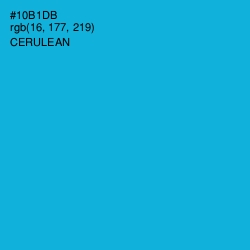 #10B1DB - Cerulean Color Image