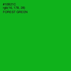 #10B21C - Forest Green Color Image