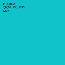 #10C3CA - Java Color Image