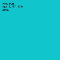 #10C5CB - Java Color Image