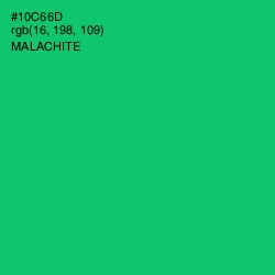 #10C66D - Malachite Color Image