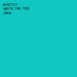 #10C7C1 - Java Color Image