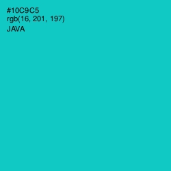 #10C9C5 - Java Color Image