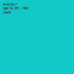 #10C9C7 - Java Color Image