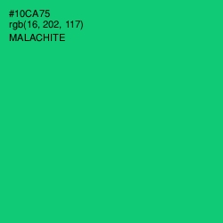 #10CA75 - Malachite Color Image
