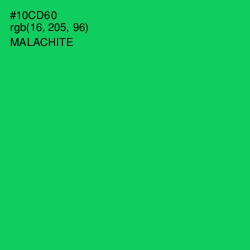 #10CD60 - Malachite Color Image