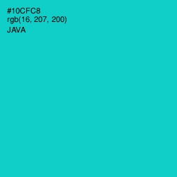 #10CFC8 - Java Color Image