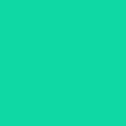 #10D8A5 - Caribbean Green Color Image