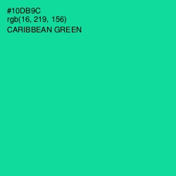 #10DB9C - Caribbean Green Color Image