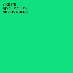 #10E17E - Spring Green Color Image