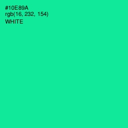 #10E89A - Caribbean Green Color Image