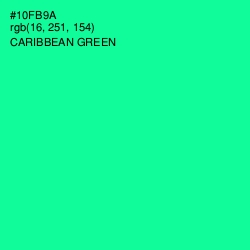 #10FB9A - Caribbean Green Color Image