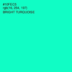 #10FEC5 - Bright Turquoise Color Image