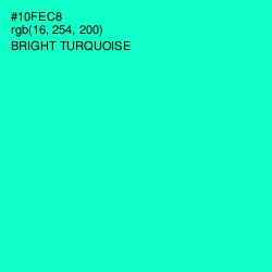 #10FEC8 - Bright Turquoise Color Image