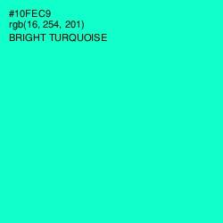 #10FEC9 - Bright Turquoise Color Image