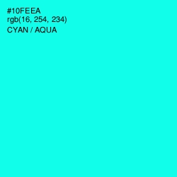 #10FEEA - Cyan / Aqua Color Image