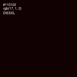#110102 - Diesel Color Image