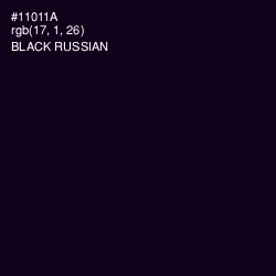 #11011A - Black Russian Color Image