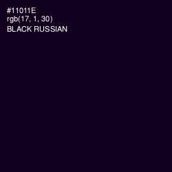 #11011E - Black Russian Color Image