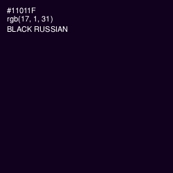 #11011F - Black Russian Color Image